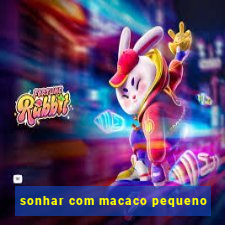 sonhar com macaco pequeno